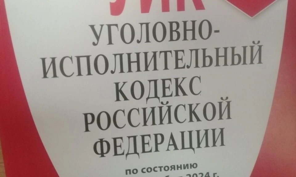 Злоумышленник признан виновным в покушении на контрабанду и незаконном обороте сильнодействующих веществ.