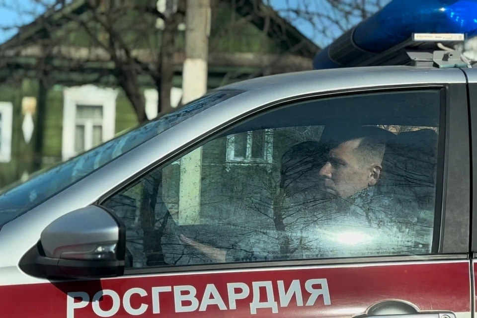 Сотрудники вневедомственной охраны за неделю пресекли 26 административных правонарушений. Фото: Росгвардия Тверской области.