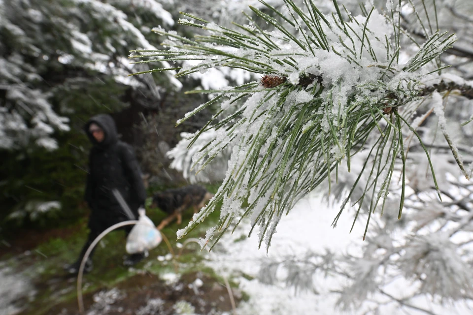 Гидрометцентр предупредил о метелях, пыльной буре и ветре до 25 м/с в Сибири