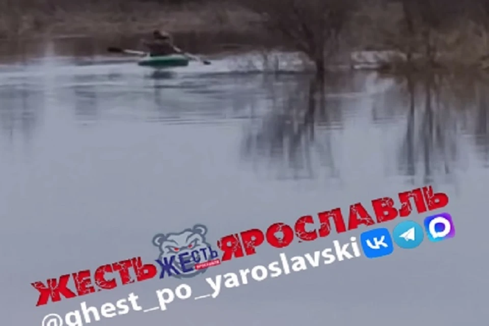 Браконьеры перекрывают реки сетями. Фото: телеграм-канал Жесть Ярославль.