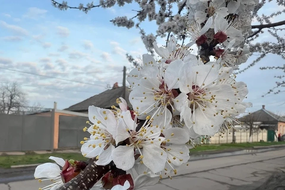 Луганская Народная Республика переходит в фазу активного весеннего потепления