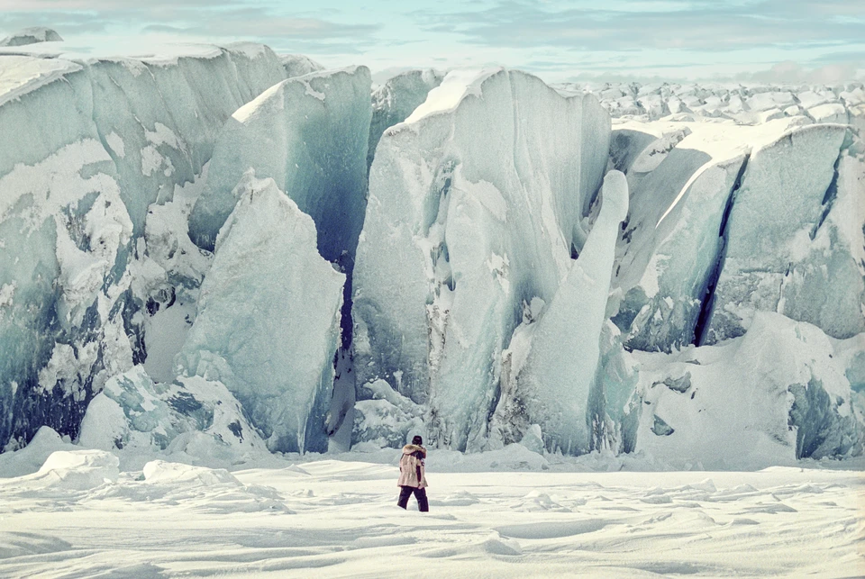 Фото: Sergey Metelitsa/Global Look Press