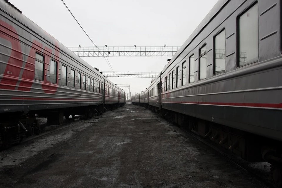 Пенсионеры могут сэкономить на поездках на электричках Владимирской области.