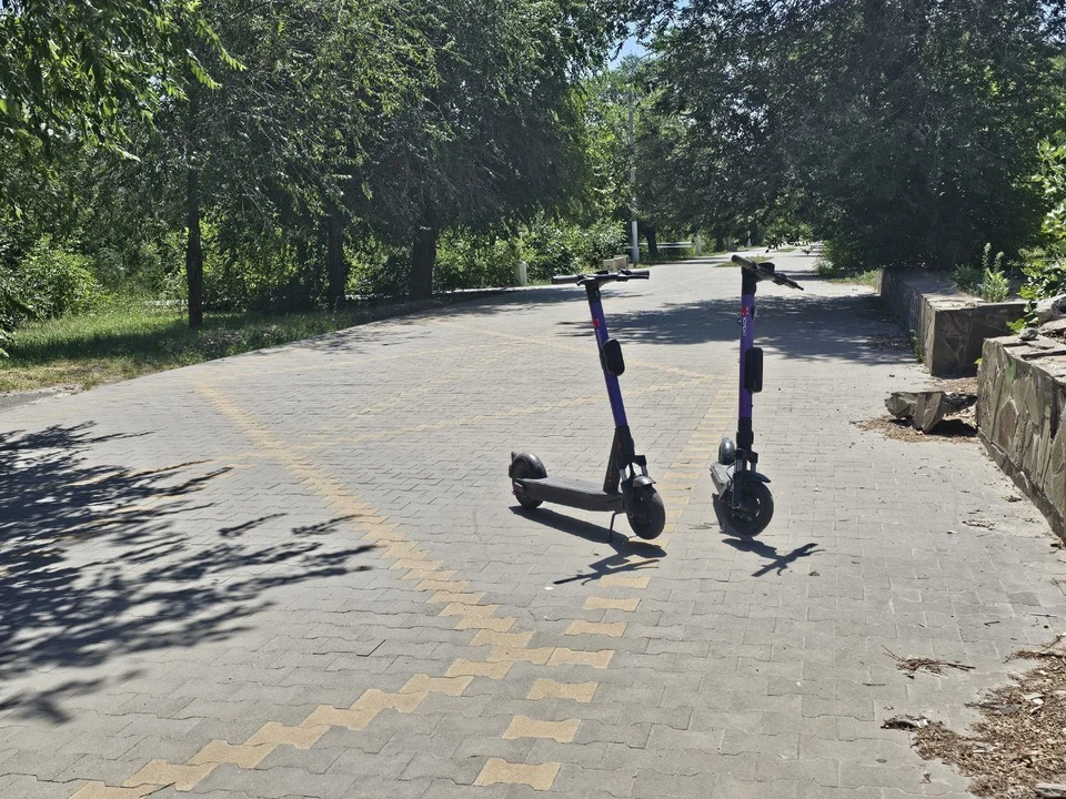 В парке потравят клещей