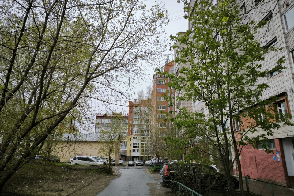 Синоптики предупредили о сильном порывистом ветре