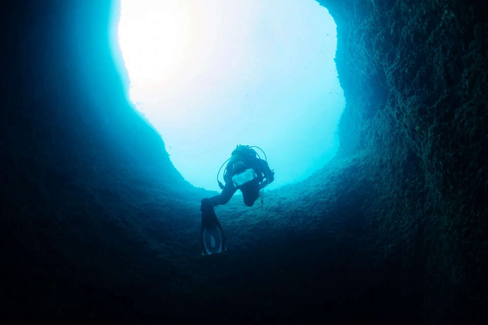 Фото: Raul Mellado Ortiz/Shutterstock/Fotodom