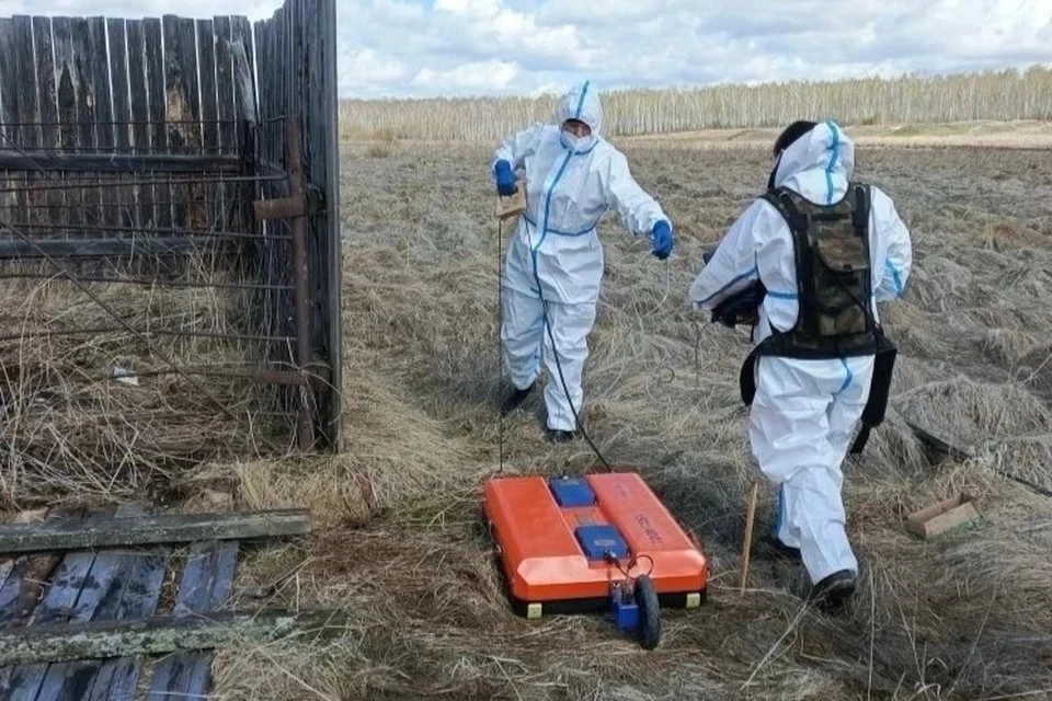 В Иркутской области проверили захоронения животных, погибших от сибирской язвы.