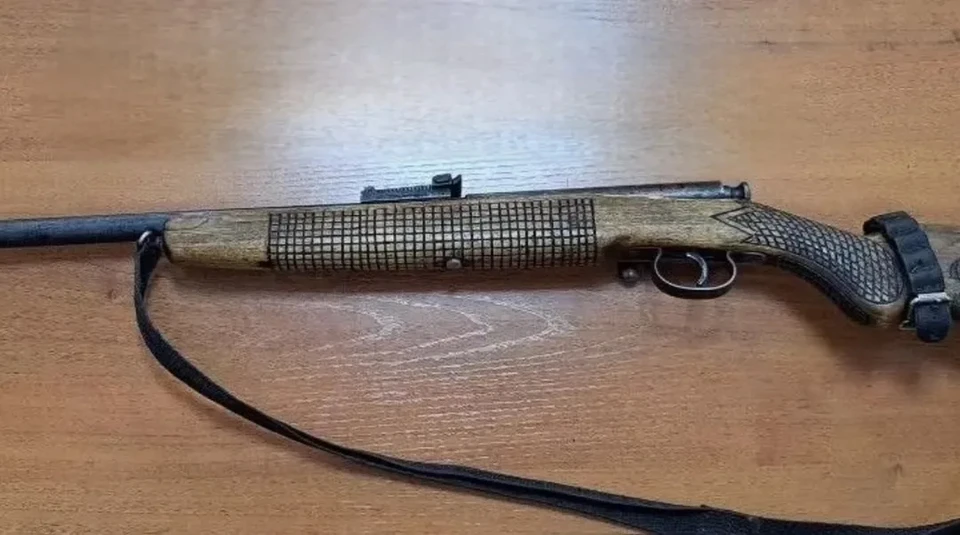 Мужчина из Нижнеилимского района получил срок за незаконное хранение оружия