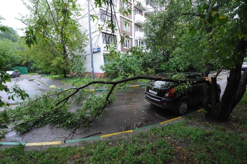 Фото из архива.