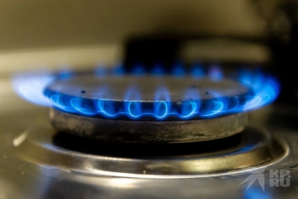 Жителей Рязанской области предупредили о вынужденном отключении газа