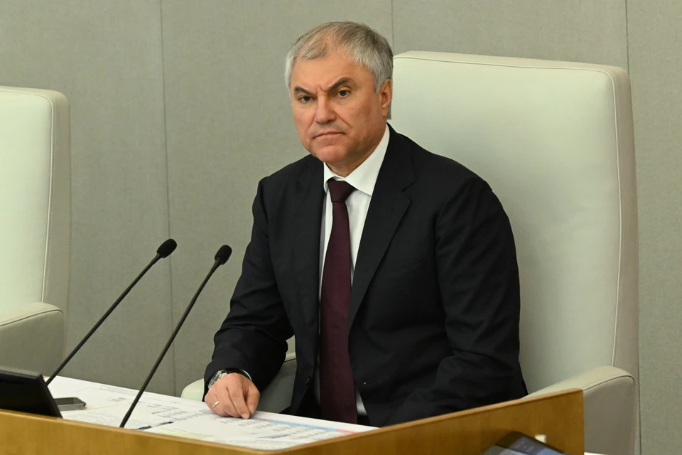 В России приняты законы об ужесточении контроля за мигрантами: Подробности