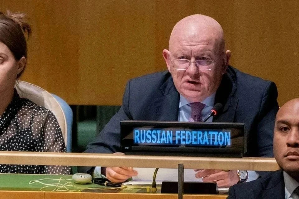 Небензя охарактеризовал выступление Мельника поговоркой про вора и шапку