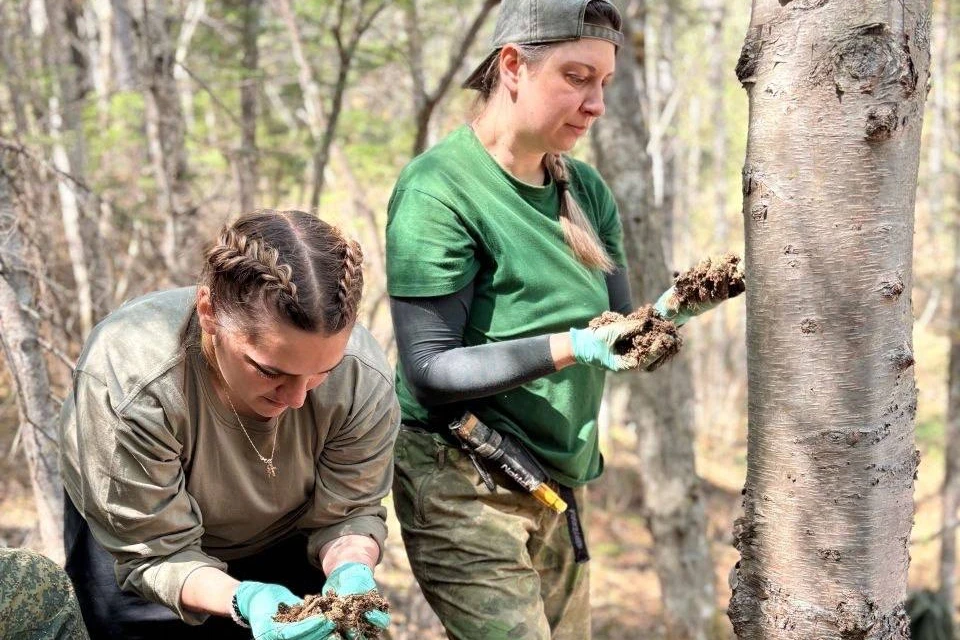 Участники ведут раскопки на местах боев Южно Сахалинской наступательной операции. Фото: «Поисковое движение России – Сахалин»