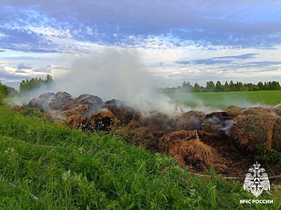Сгорело большое количество прошлогоднего сена.