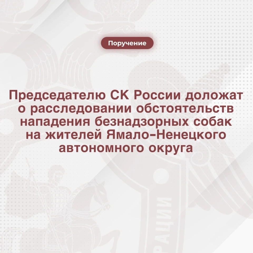 Фото: следком РФ