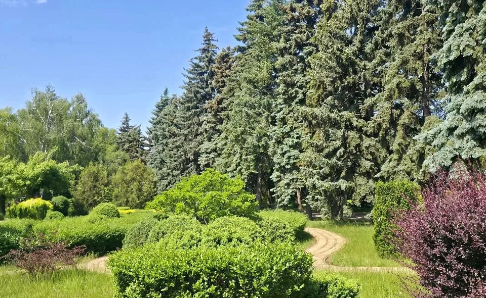 В Донецке ожидается теплый день с небольшим кратковременным дождем. Фото: Донецкий ботсад