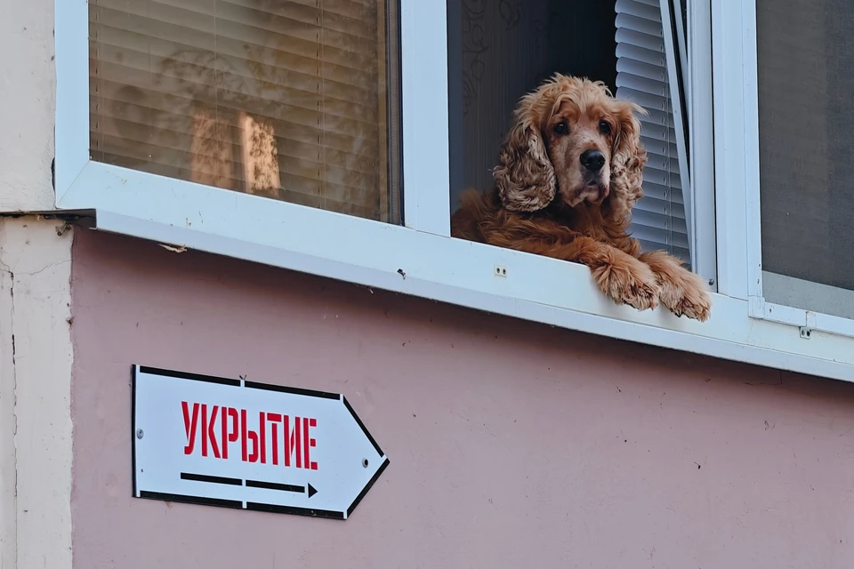 Ульяновцам разъяснили порядок действий при сигнале «ракетная опасность»