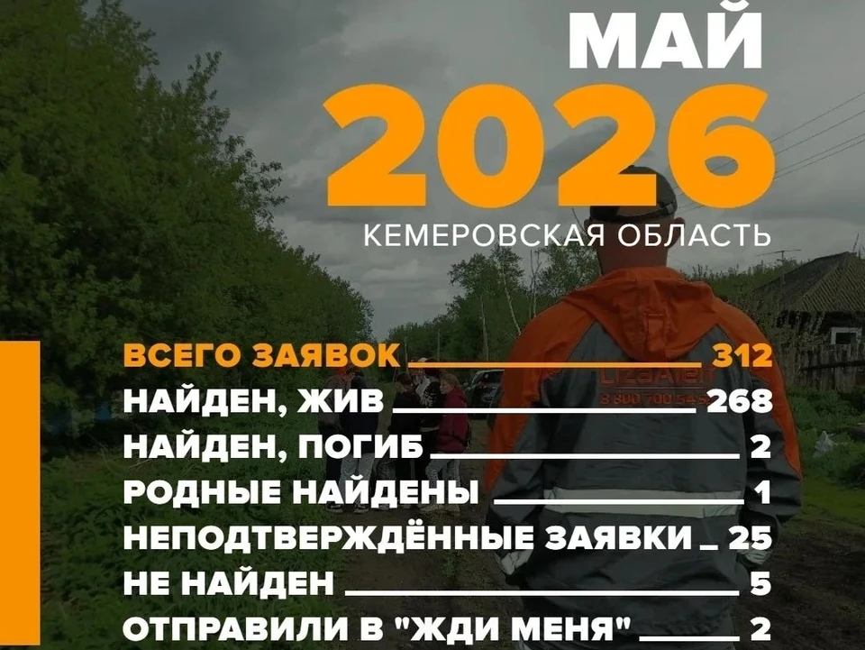 Фото: "ЛизаАлерт Кузбасс".