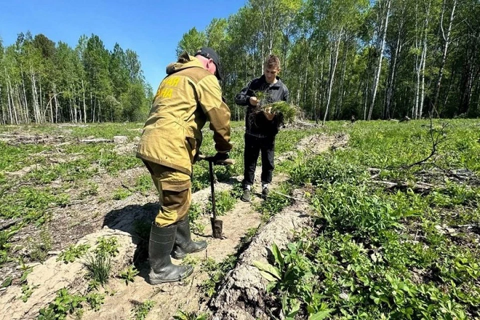 Свердловчане присоединились к акции. Фото: Департамент информполитики Свердловской области