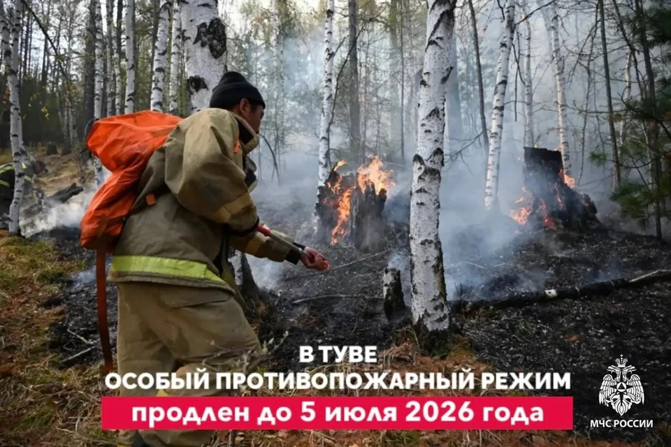 Фото: МЧС по РТ