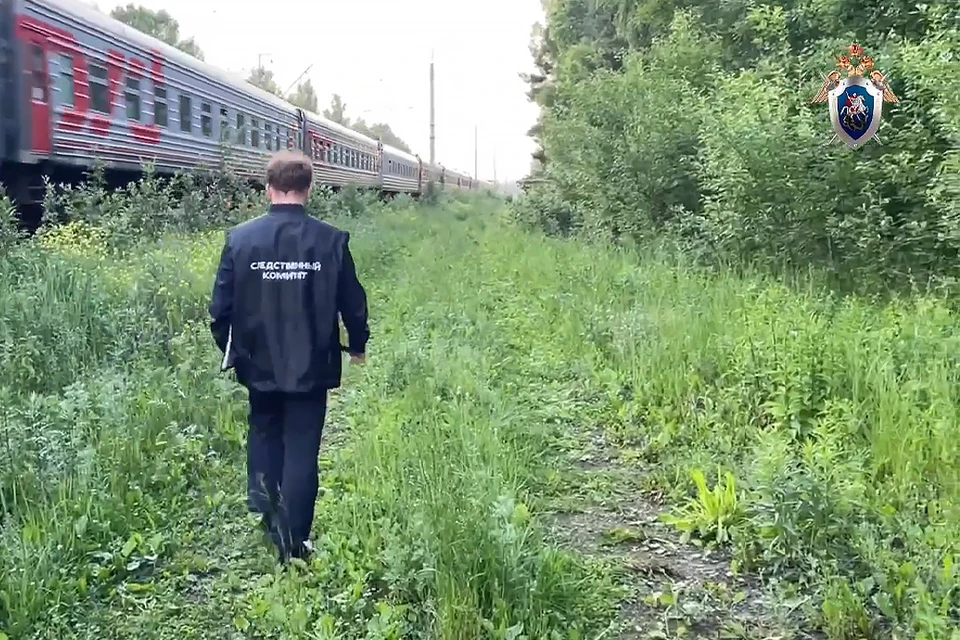 Кадр из видео Центрального МСУТ СК РФ