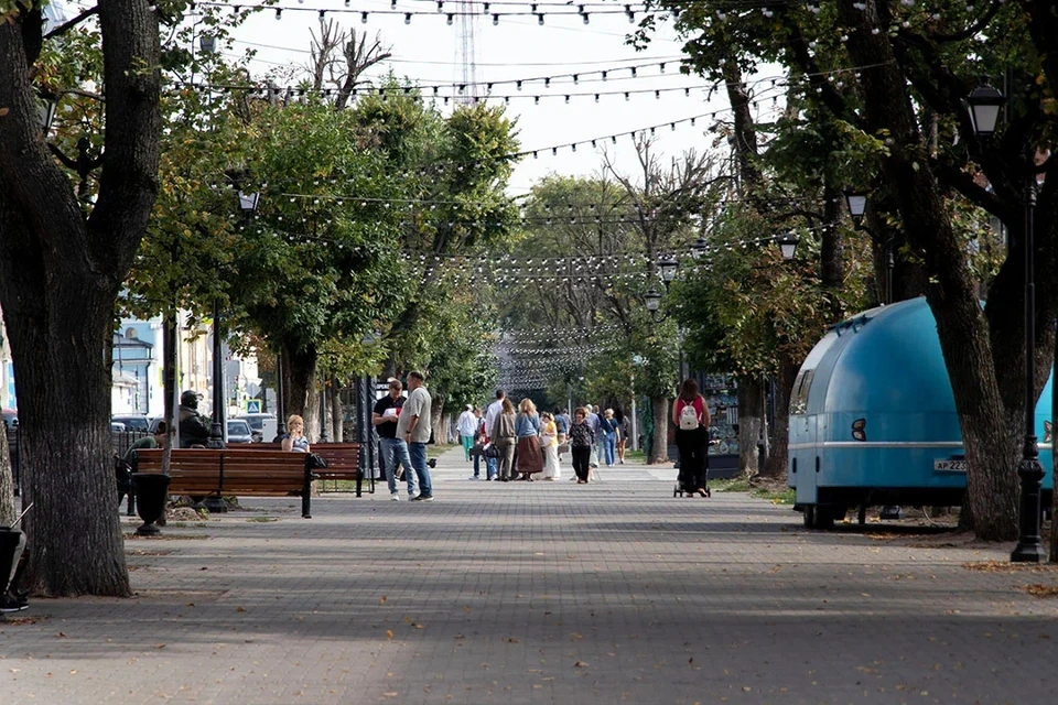 Фестиваль пройдет на участке бульвара Радищева между улицами Андрея Дементьева и Трехсвятской.