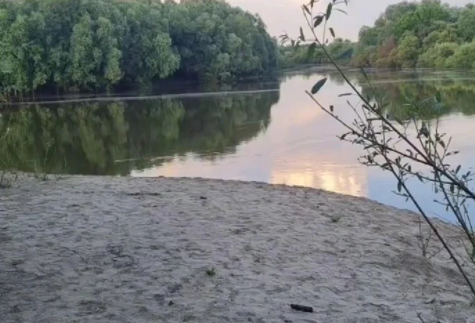 Фото: скриншот с видео