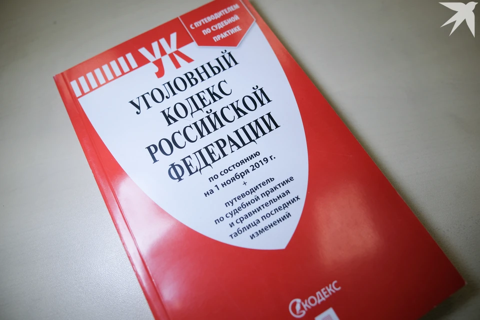 Следователи Мурманской области начали процессуальную проверку.