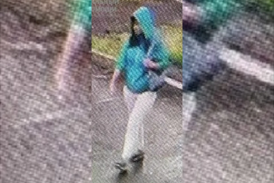 Пропавшая в Ачинске с 5-летней дочкой женщина объявилась в Красноярске, но одна. Фото: "Поиск пропавших детей" имени Оксаны Василишиной.
