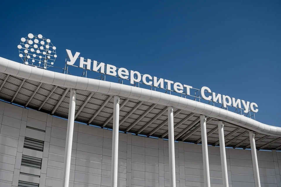 Фото предоставлено пресс-службой «Сириус»