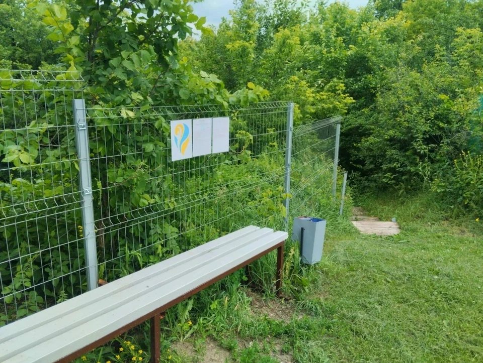 В Новоспасском районе обустроили территорию источника. ФОТО: минприроды УО