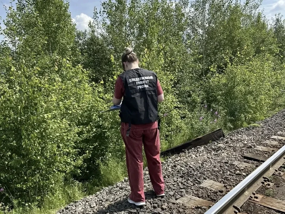 В Ачинске волонтеры обнаружили тело девочки, пропавшей в конце июня вместе с мамой. Фото: краевой СК