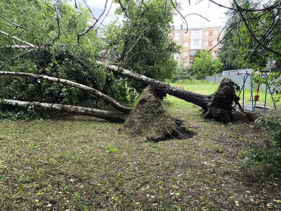 Стихия добралась до Бора и Нижнего Новгорода после удара по Арзамасу. Фото: ВК-канал «Твой Бор»