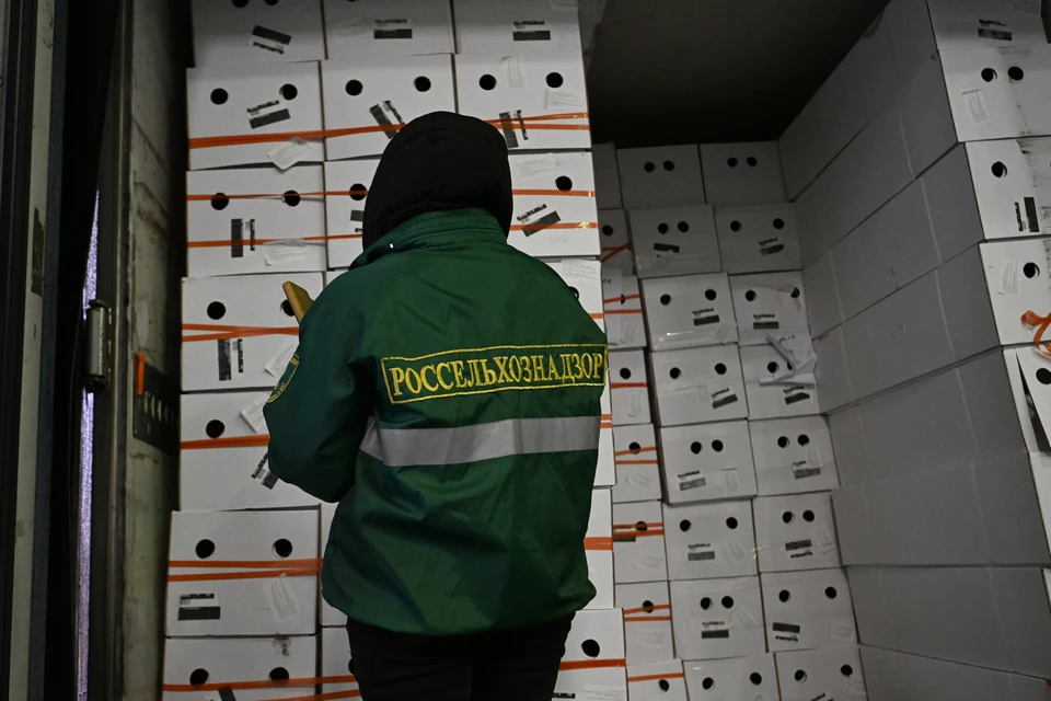 Поставки пшеничных отрубей в Монголию увеличились в 3,4 раза, а рапсового жмыха в Китай — в 1,5 раза