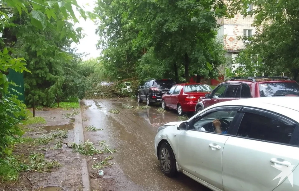 Дерево рухнуло на Infiniti на улице Высокой в Калуге.