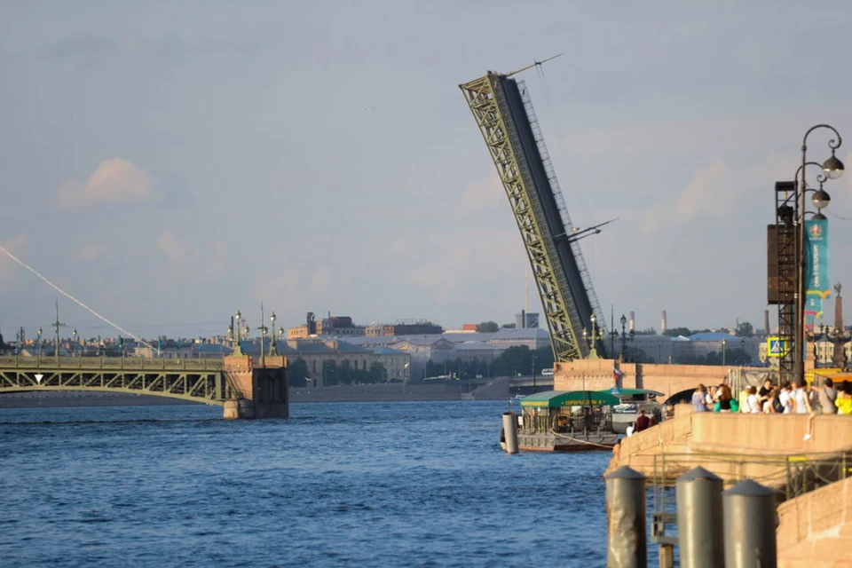 Площадь работ составит более 11 тысяч квадратных метров.
