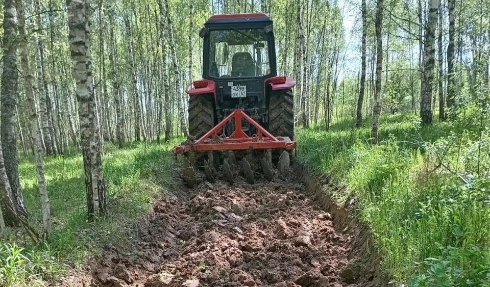 Фото: Управление лесами Орловской области