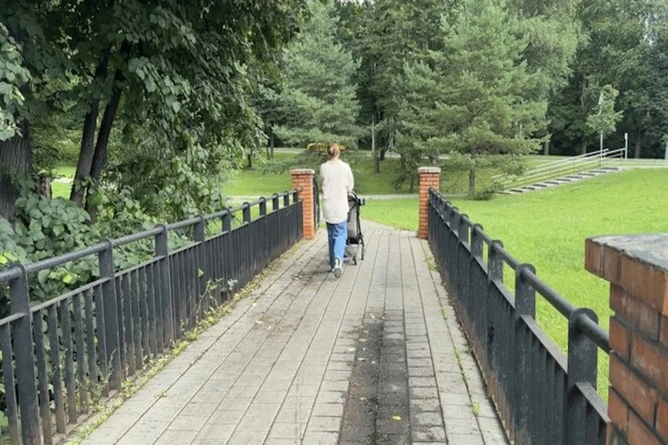 Депутат Госдумы Попов: Пешеходный мост у Рублевского шоссе приведут в порядок Фото: канал Евгения Попова в MAX