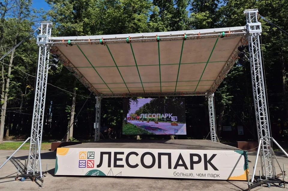 Матчи ЮФЛ покажут на большом экране в лесопарке. Фото: администрация лесопарка.