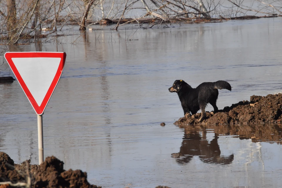 ВСУ повредили оборудование Белгородского водохранилища, произошёл сброс воды