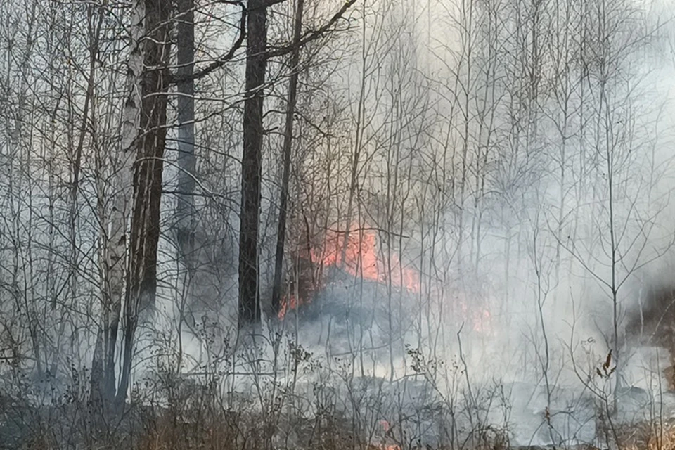 Пожар в Оленекском районе подошел на 4,5 километра к селу Эйик