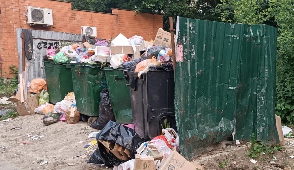 Орловцам объяснили, что делать при нехватке мусорных контейнеров