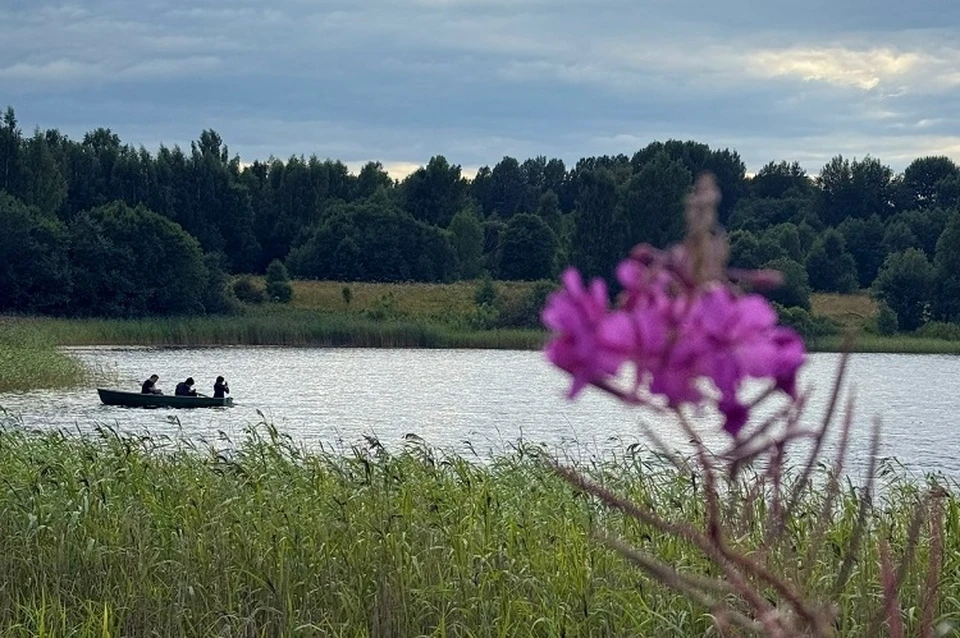Поисковики прочесывают берега озера. Фото: ВПСО "Сова"