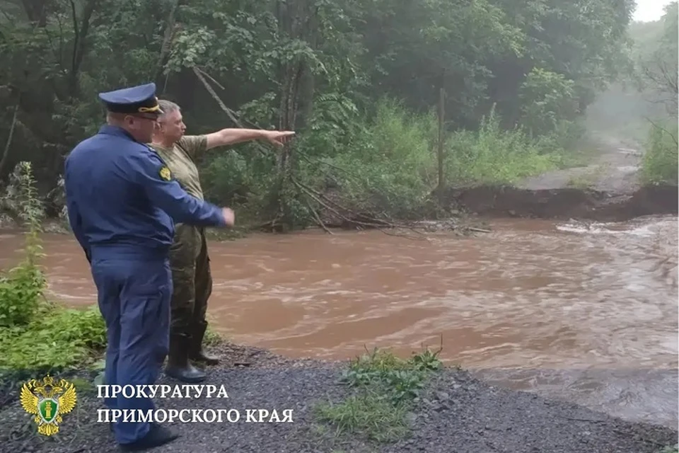Ливни разрушили мосты и нарушили проезд в нескольких районах в Приморье Фото: прокуратура Приморского края
