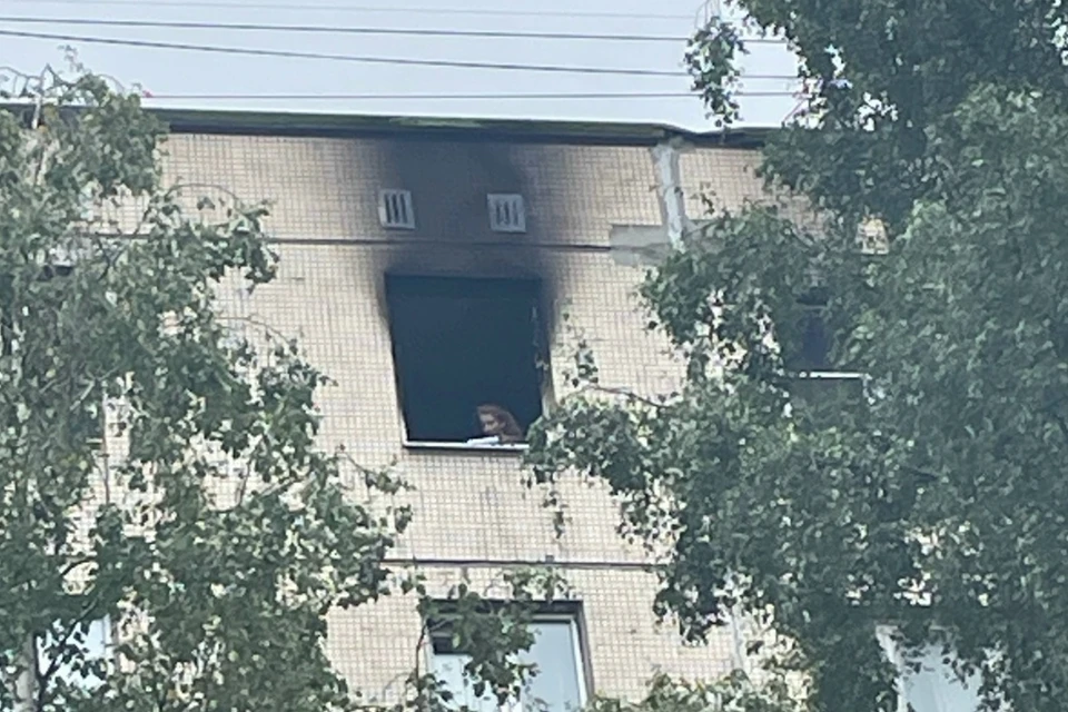 Скончалась бабушка двух маленьких детей, погибших в пожаре в Петербурге. Фото: vk.ru/kupchinoask / vk.ru/id200000555325
