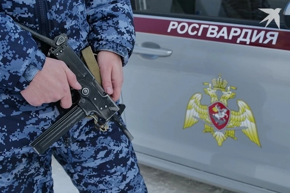Сотрудники Росгвардии усмирили пятерых дебоширов в Сыктывкаре за сутки