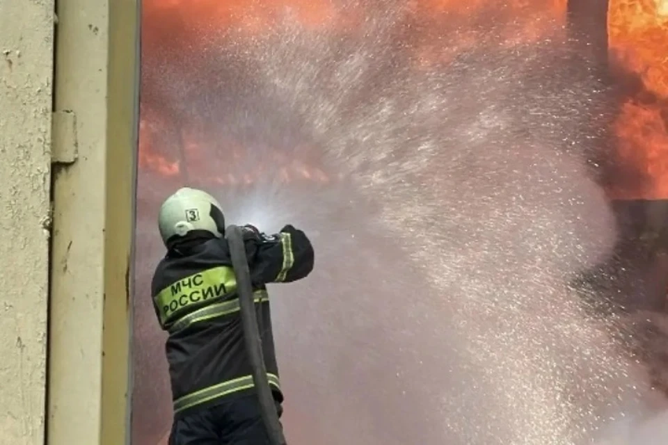 Фото: Егор КОВАЛЬЧУК, ВКонтакте.