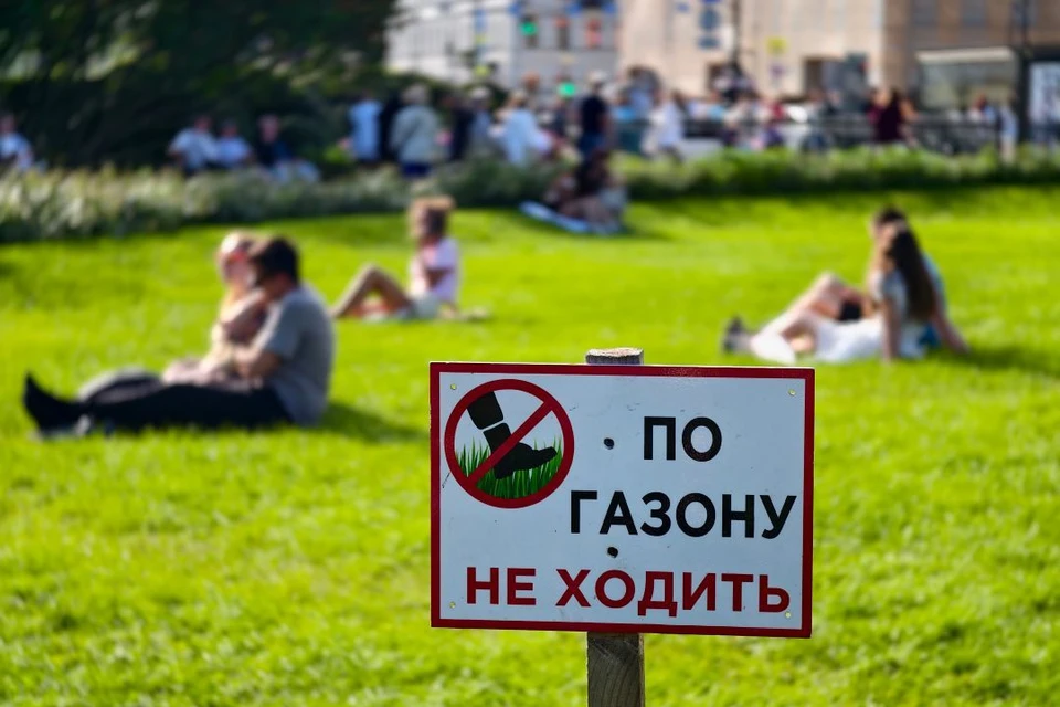 В Ростовской области 9 августа ожидается сильная жара до 40 градусов.