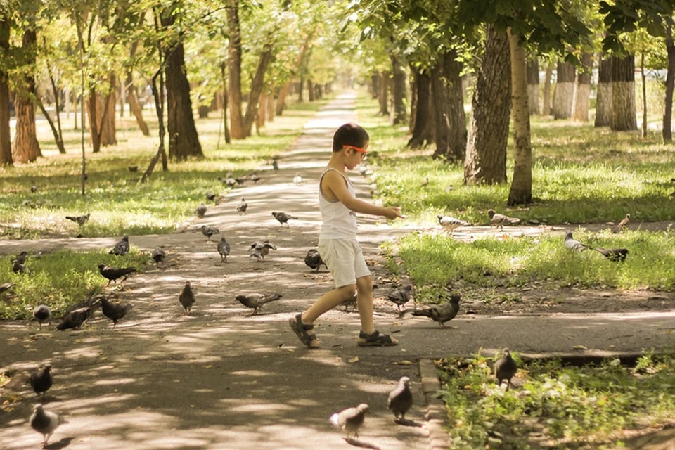 Источник: pixabay.com/deb_qep