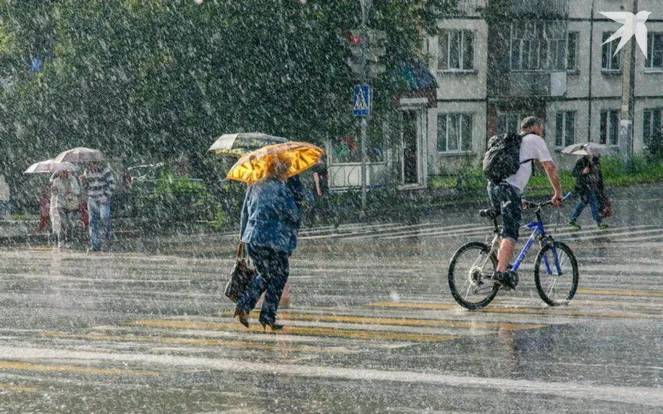 Четверг в Ижевске будет дождливым. Фото: архив редакции